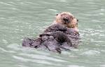 Alaska_115