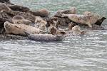 Alaska_117