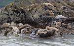 Alaska_118