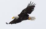 Alaska_124