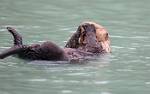 Alaska_125