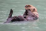 Alaska_126