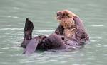 Alaska_127