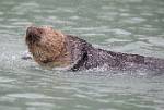 Alaska_128