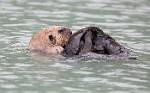 Alaska_129