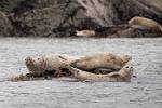 Alaska_130