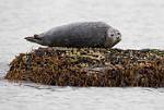 Alaska_131
