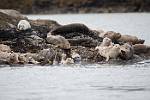 Alaska_132