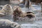 Alaska_134