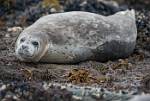 Alaska_135