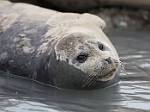 Alaska_138