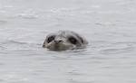 Alaska_140