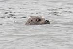 Alaska_141