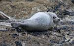 Alaska_143