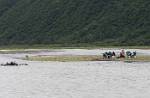 Alaska_146