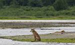 Alaska_150