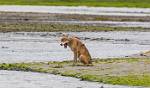 Alaska_153