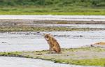 Alaska_154