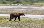 Alaska_155