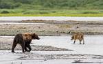 Alaska_156