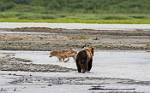 Alaska_157