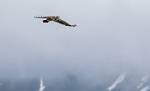 Alaska_158