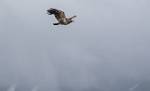 Alaska_159
