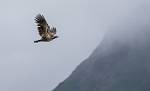Alaska_160