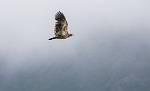 Alaska_161