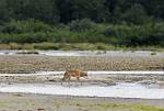 Alaska_162