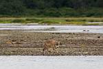 Alaska_163
