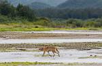 Alaska_164