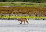 Alaska_165