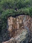 Alaska_167