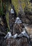 Alaska_176