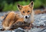 Alaska_179