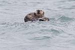 Alaska_184