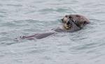 Alaska_185