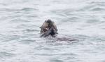 Alaska_186