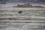 Alaska_190