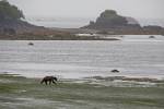 Alaska_191