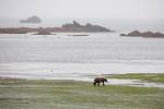 Alaska_192