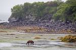 Alaska_193