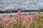 Alaska_211