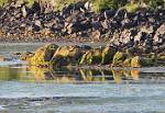 Alaska_212