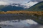 Alaska_215