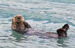 Alaska_217