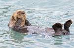 Alaska_218