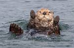 Alaska_219