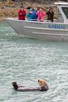 Alaska_220
